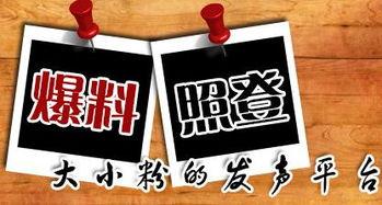 时事爆料新闻,最新时事爆料新闻深度解析